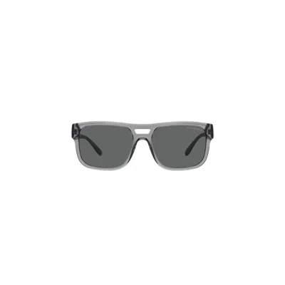 Emporio Armani Ea4197s Sunglasses In Gray