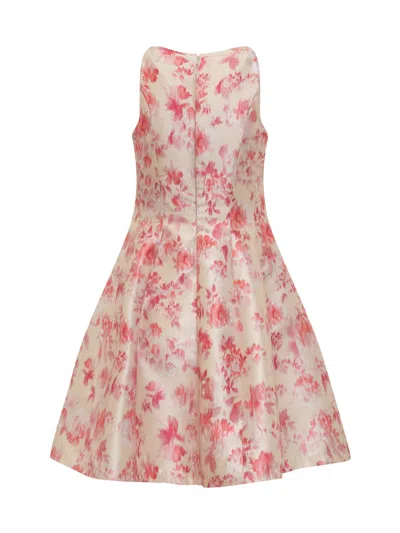 Philosophy Di Lorenzo Serafini Floral-print Flared Minidress