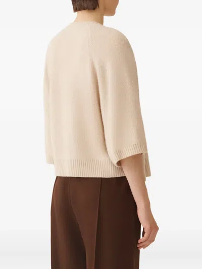 Fabiana Filippi Sequin-embellished Raglan-sleeve Jumper In Neutral