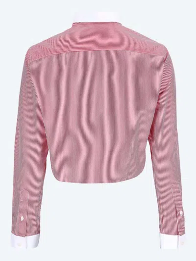 Sporty And Rich Src Cropped Shirt In Pink