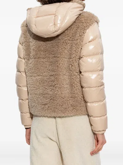 Moncler Plantay Jacket In Brown