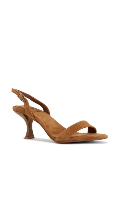Jeffrey Campbell Augustine Sandal In Brown