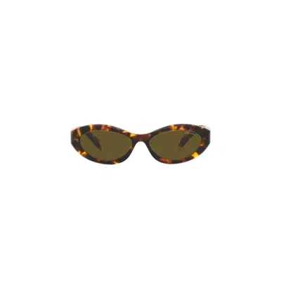 Prada Catwalk Cat-eye Acetate Sunglasses In Multi