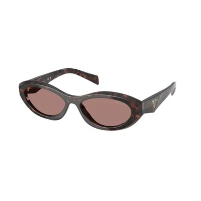 Prada Womens Brown Pr 26zs Oval-frame Acetate Sunglasses In Brown