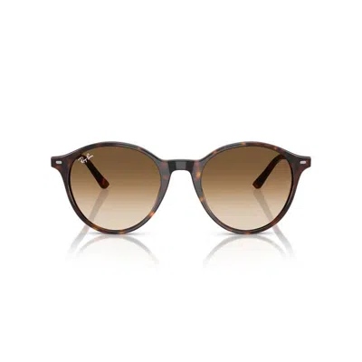 Ray Ban Ray-ban Ray-ban Bernard Rb2230 902/51 In Brown