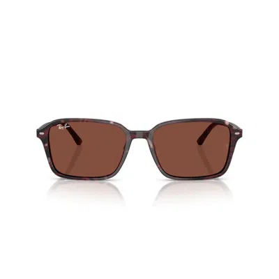Ray Ban Ray-ban Ray-ban Raimond Rb2231 1416c5