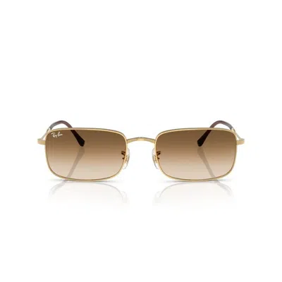 Ray Ban Ray In Brown