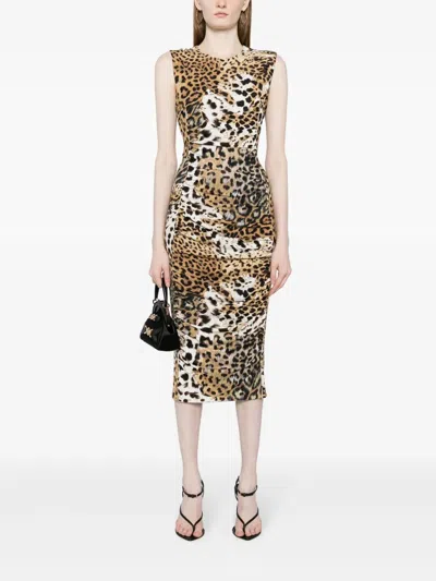 Roberto Cavalli Jaguar-print Gathered Midi Dress