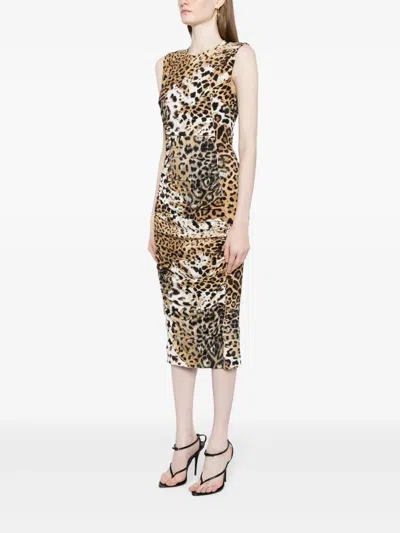 Roberto Cavalli Jaguar-print Gathered Midi Dress