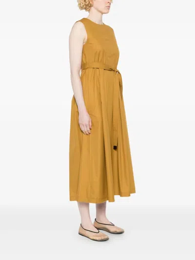 's Max Mara S Max Mara Sm Amina Ocre Dress