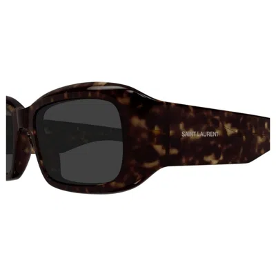 Saint Laurent Sl 809 002 In Brown