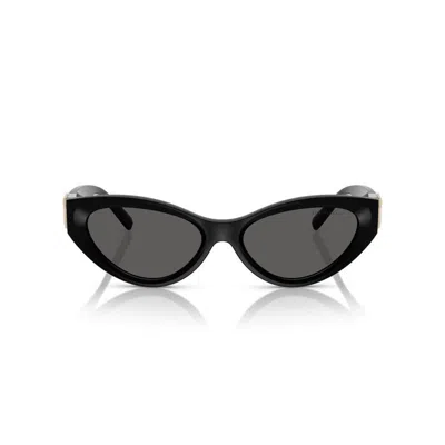 Tiffany & Co Tiffany Tiffany Tf4225u 8001s4 In Black
