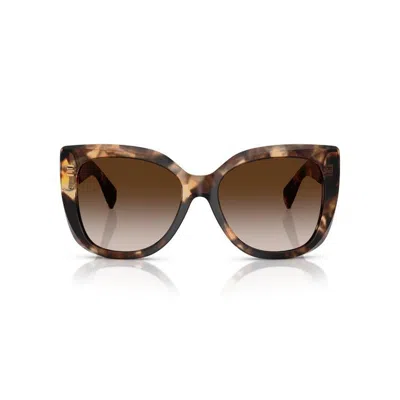 Tiffany & Co Tiffany Tiffany Tf4229 84213b In Brown
