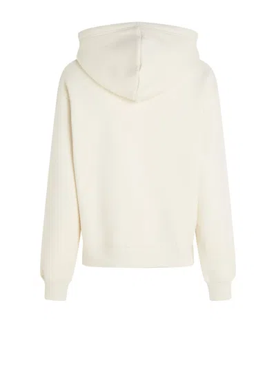 Tommy Hilfiger Regular Fit Sweatshirt With Hood And Th Emblem