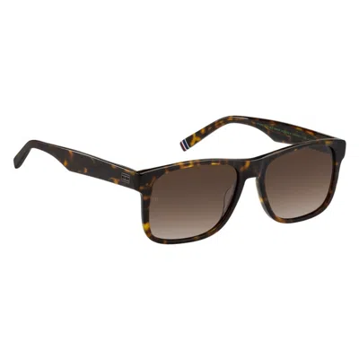 Tommy Hilfiger Th 2073/s 086(ha) In Brown