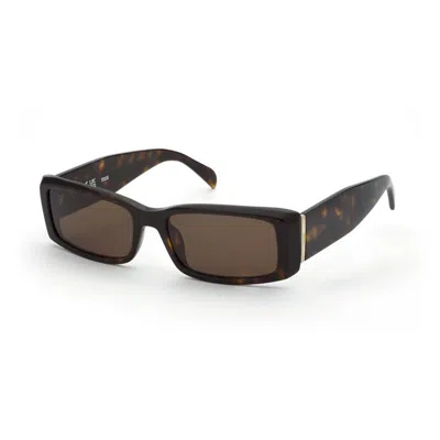 Tous Stoc39 0743 In Brown