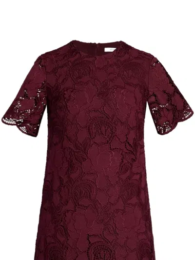 Erdem Floral-lace Mini Dress