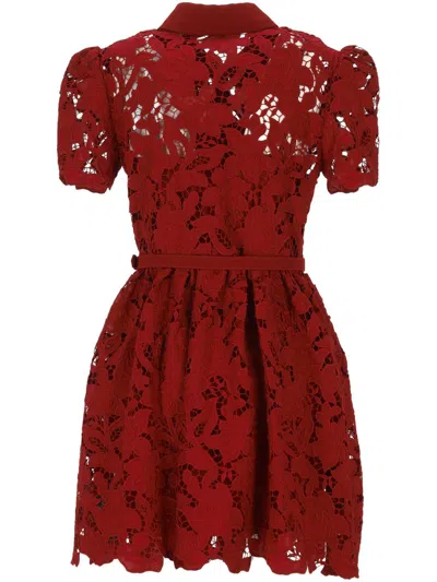 Self-portrait Dresses