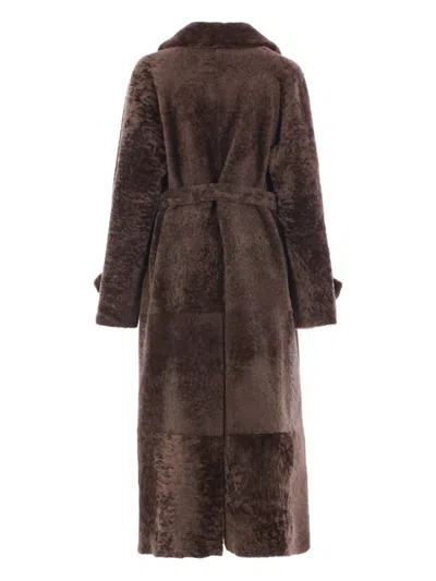 Blancha Shearling Coat Waist Belted In Brown