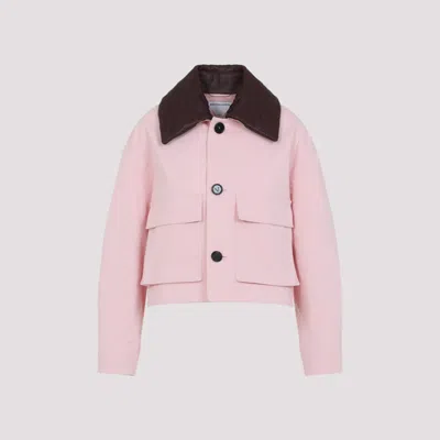 Bottega Veneta Womens Intrecciato-collar Irregular Twill Cropped Cotton Jacket Camelia In Pink