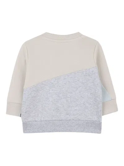 Bosswear Colourblock Sweatshirt In Brown