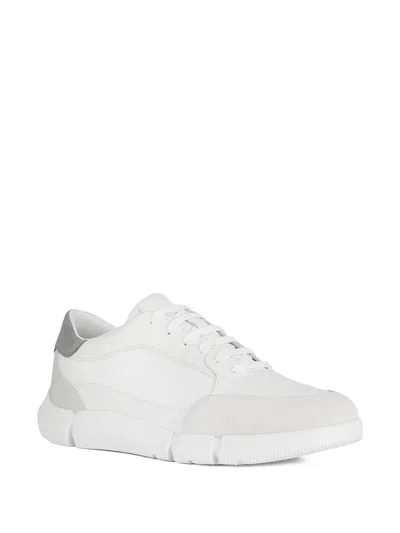 Geox U Adacter Leather Suede Panel Trainers In White