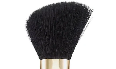 Spectrum All About The Brush D10 The Blush Duo