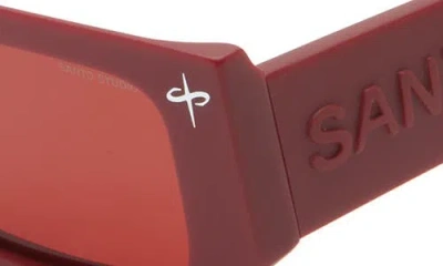 Santo Studio Palermo Polarized Rectangular Sunglasses