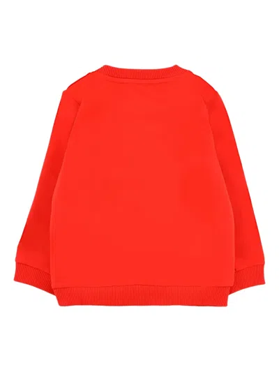Moschino Teddy Bear-print Sweatshirt In Red