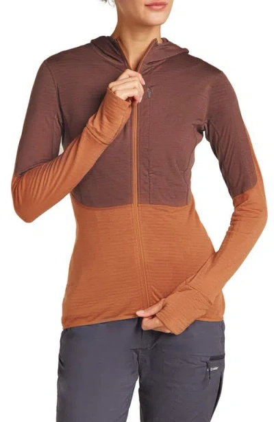 Icebreaker Tencel & Merino 200 Realfleece Descender Zip Hoodie In Multi