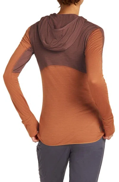 Icebreaker Tencel & Merino 200 Realfleece Descender Zip Hoodie In Multi