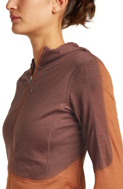 Icebreaker Tencel & Merino 200 Realfleece Descender Zip Hoodie In Multi