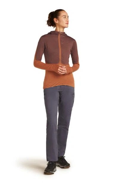 Icebreaker Tencel & Merino 200 Realfleece Descender Zip Hoodie In Multi