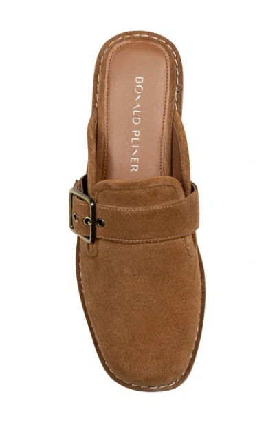 Donald Pliner Buckle Mule