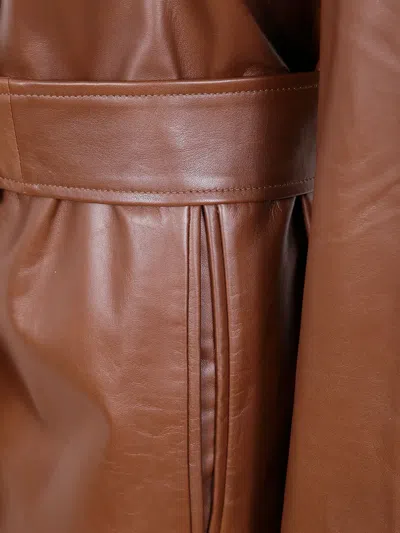 Max Mara Belted Single-breasted Jacket In Brown