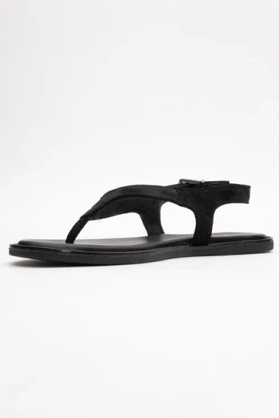 Forever & Always Shoes Belinda Leather Thong Sandals In Black
