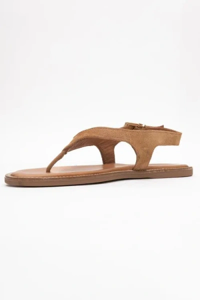 Forever & Always Shoes Belinda Leather Thong Sandals In Brown