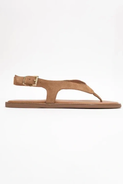 Forever & Always Shoes Belinda Leather Thong Sandals In Brown