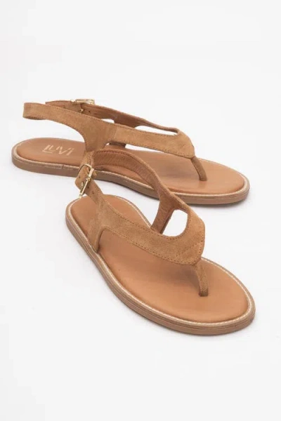 Forever & Always Shoes Belinda Leather Thong Sandals In Brown