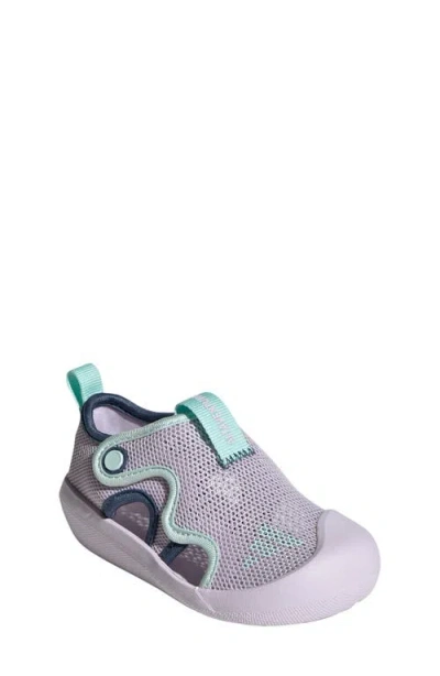 Adidas Originals Adidas Kids' Altaventure 3.0 Swim Sandal In Purple