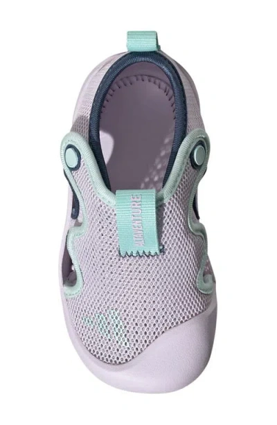 Adidas Originals Adidas Kids' Altaventure 3.0 Swim Sandal In Purple