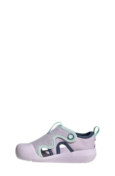Adidas Originals Adidas Kids' Altaventure 3.0 Swim Sandal In Purple