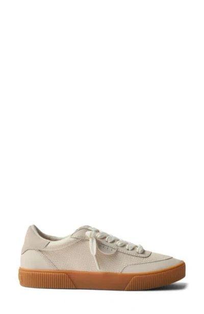 Reef Lay Day Seas Sneaker