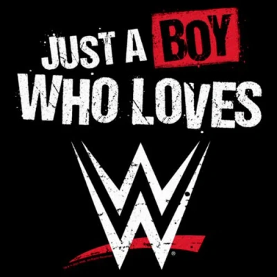 Wwe Boy's  Boy Who Loves Wrestling Distressed  Graphic T-shirt In Black