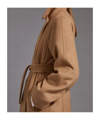 Max Mara Dove Grey Long Coat With Belted Waist And Classic Lapel In Brown