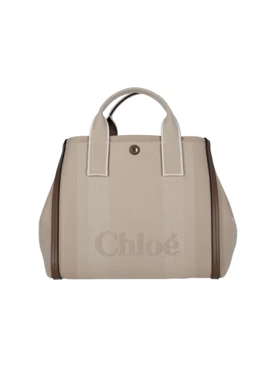 Chloé Structured Beige Bag With Dual Top Handles In Gray