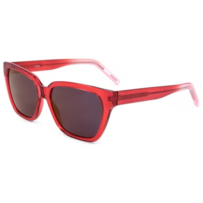 Hugo Boss Cat-eye Sunglasses