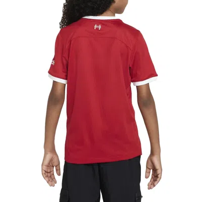 Nike Dri-fit Liverpool Fc 23-24 Stadium Home Jerseys 'red'