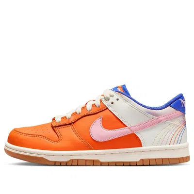 Nike (gs)  Dunk Low 'everything You Need'