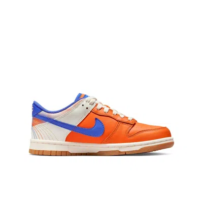 Nike (gs)  Dunk Low 'everything You Need'